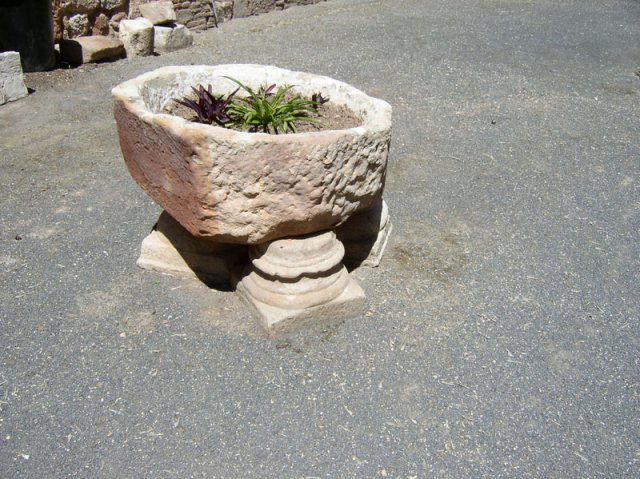 patiotraserofucares7